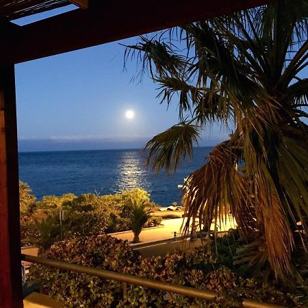 Radazul Paradise المظهر الخارجي الصورة